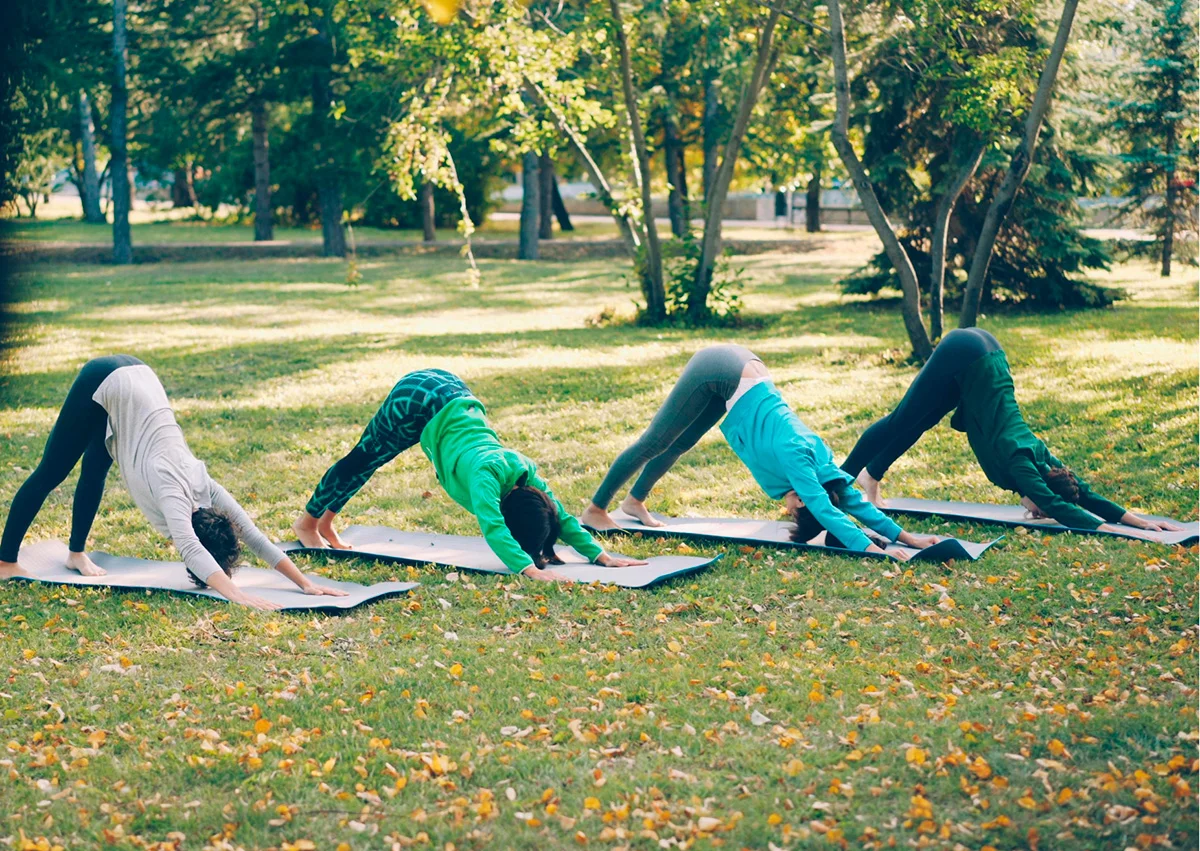 tallerhathamultivinel